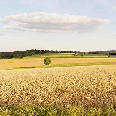 Ferienwohnung Bantlehof Niedereschach Exterior foto